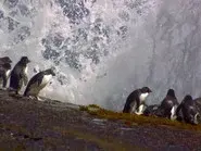 Science of Great Migrations still