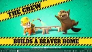 The Crew Builds a Beaver Home still