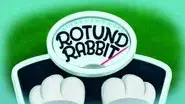 Rotund Rabbit still