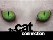 The Cat Connection still