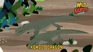 Komodo Dragon still