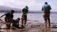 Clamageddon Continues still