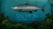 Salmon: River Tweed, Scotland still