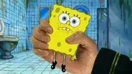Model Sponge still