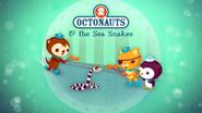 The Sea Snakes still
