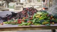 Barbecue Around the World still