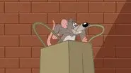 Dirty Rat still