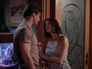The Phoenix still