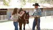 Wild Horses Couldn't Drag Me Away still