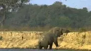 Vanishing Pools of the Zambezi still