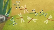 The Dragonfly Display still