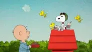 Never Bug a Beagle still