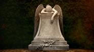 The Forgotten Plague still