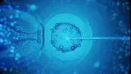IVF still