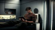 Greywing still