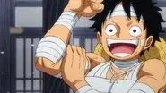 The Morning Comes! Luffy and the Others Rest! still