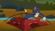 Tom's In-Tents Adventure still