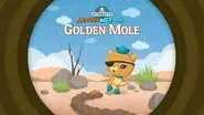The Octonauts and the Golden Mole still