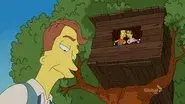 The Bob Next Door still