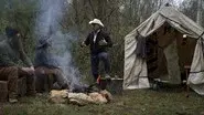 The Bears and the Bees still