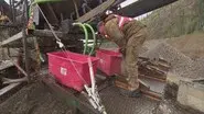 No Deaths, No Worries still