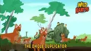 The Dhole Duplicator still