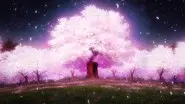 In the Forest of the Cherry Blossoms, Beneath the Full Bloom still