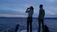 America's Lake Monster still
