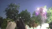 The Path of the Strong still
