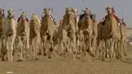 Shifting Sands still