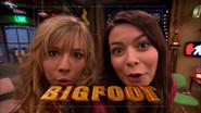 iBelieve in Bigfoot still