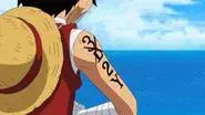 I Will Get Much, Much Stronger! Zoro's Pledge to His Captain! still