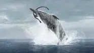 Oceans still