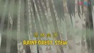 Rainforest Stew still