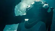 Snow Globe Killer still