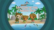 Mystery of the Longfin Eels still