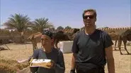One Hot Camel still
