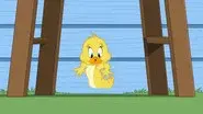 Tough Luck Duck still
