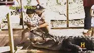 Swamp Invaders still