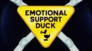 Emotional Support Duck still
