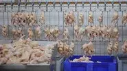 The Trouble with Chicken still
