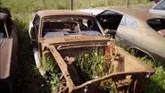 Rustang to Mustang still