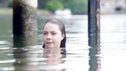 Dolphin Tale still
