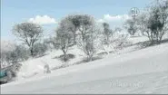 Snow Tracks still