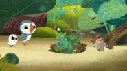 Follow the Puffin still