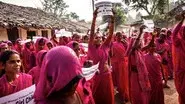 The Pink Gang Rebellion & Genetic Passport still