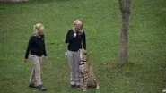 Run Cheetah Run still