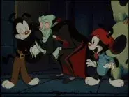 Draculee, Draculaa still
