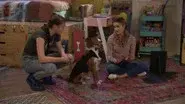 Dog WedDING! still