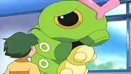 Caterpie's Big Dilemma still